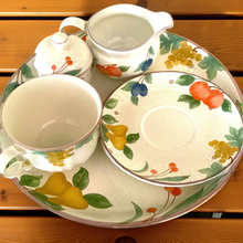 Load image into Gallery viewer, Mikasa Vintage Country Classic #DCO14 Platter Set (platter, bowl, creamer, jumbo cup and saucer)
