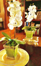 Load image into Gallery viewer, Faux Orchid  Vases