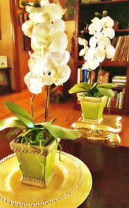 Faux Orchid  Vases