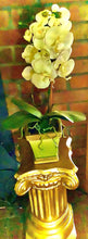 Load image into Gallery viewer, Faux Orchid  Vases