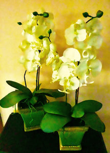 Faux Orchid  Vases