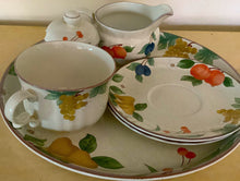 Load image into Gallery viewer, Mikasa Vintage Country Classic #DCO14 Platter Set (platter, bowl, creamer, jumbo cup and saucer)