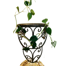 Load image into Gallery viewer, Treasures by Tawanna: Vintage Bronze Metal Wall Shelves with Jeweled Leaves (Pair)